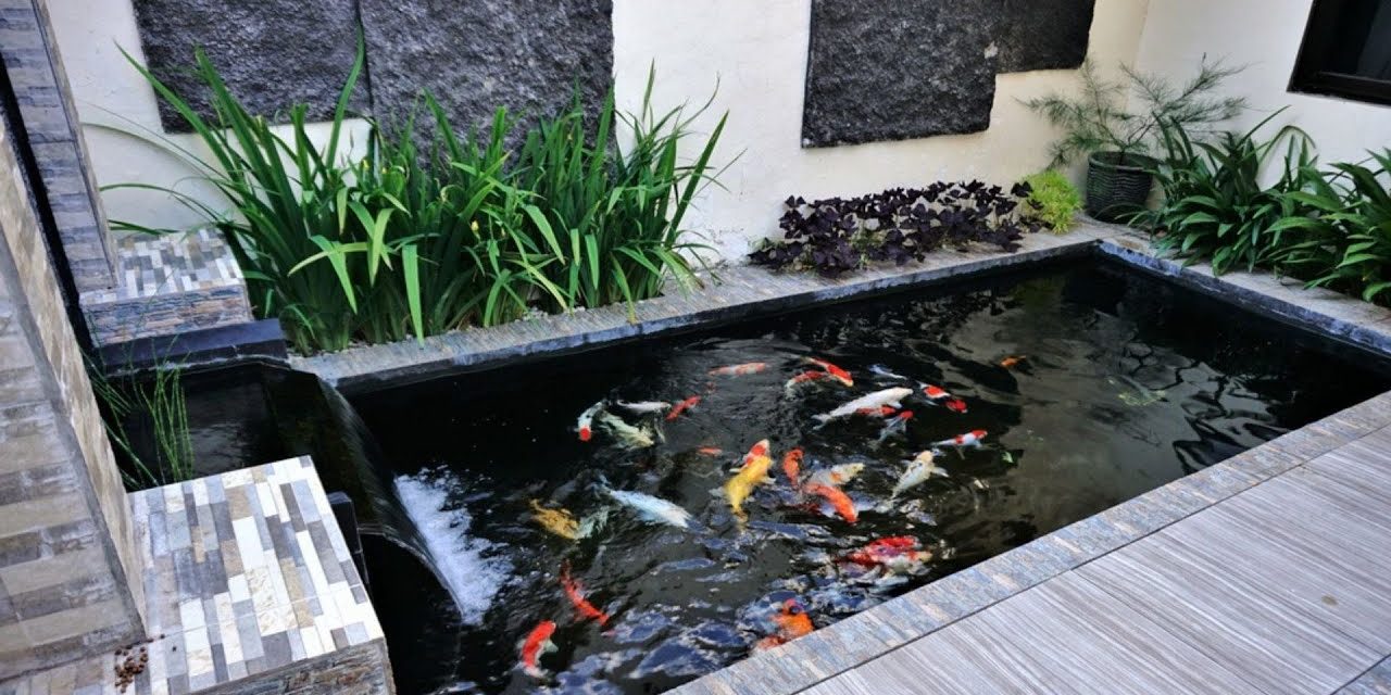 Intip 8 Desain Kolam Ikan Favorit Untuk Hunian Anda