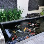 Intip 8 Desain Kolam Ikan Favorit Untuk Hunian Anda