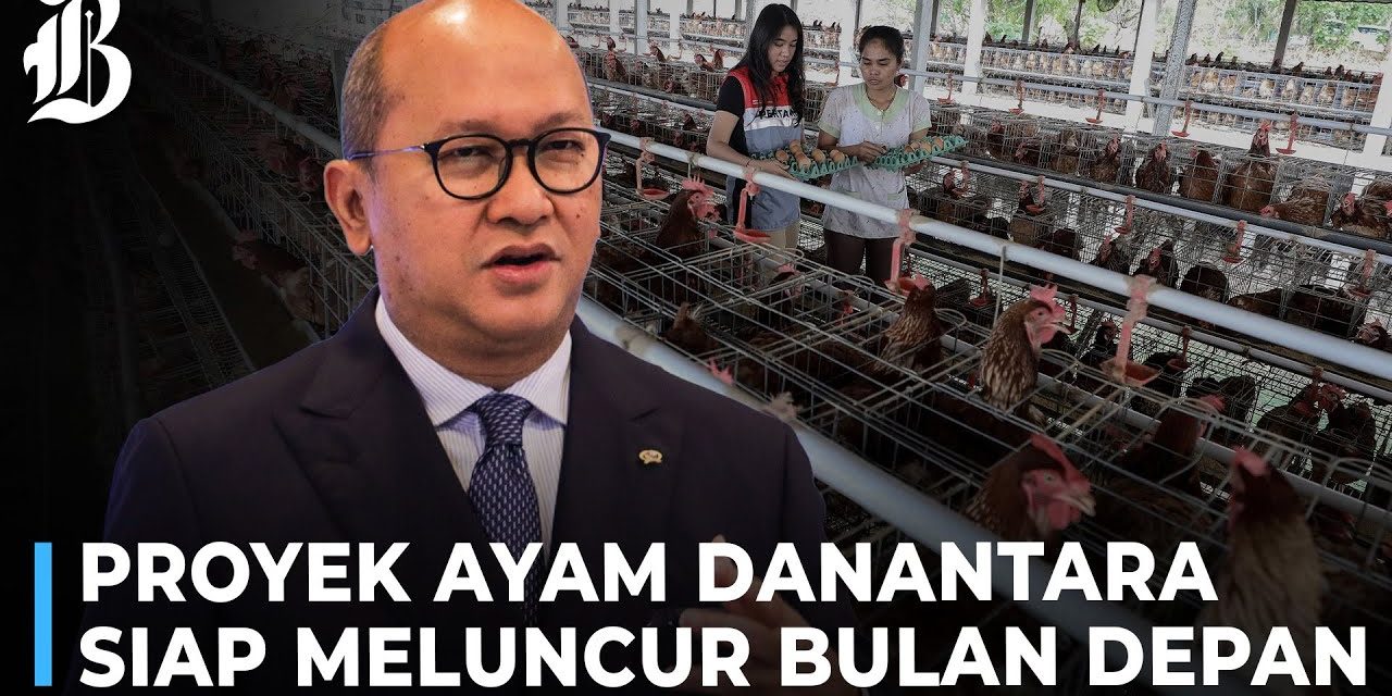 Hilirisasi Ayam Di Mulai, Danantara Suplai 82 Juta Penerima MBG