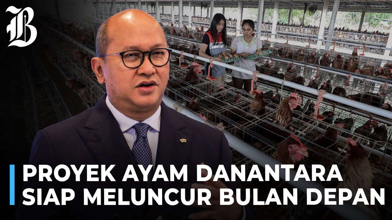 Hilirisasi Ayam Di Mulai