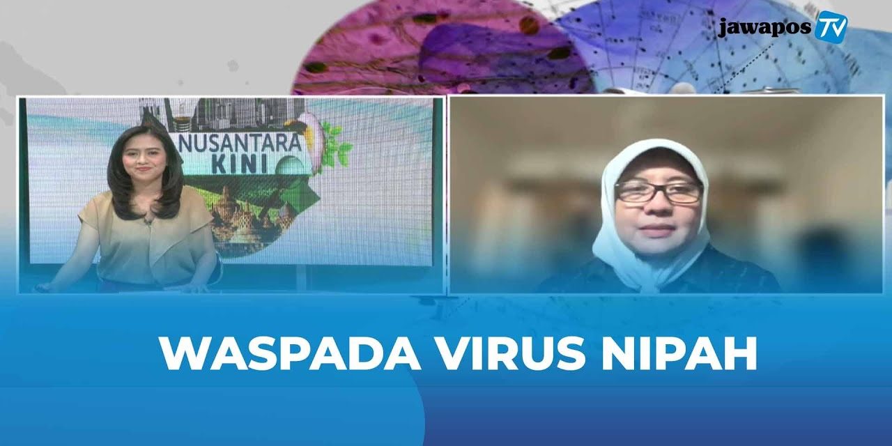 Fakta Baru: Virus Nipah Menular Melalui Saluran Pernapasan