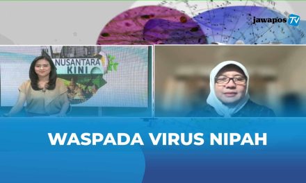 Fakta Baru: Virus Nipah Menular Melalui Saluran Pernapasan