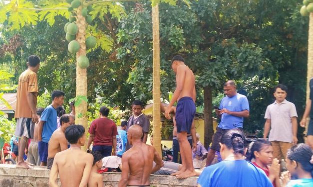 Kali Manikin Meluap, Kakak Beradik Di Kupang Terpisah
