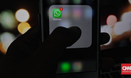 Riwayat Grup Whatsapp Buat Chat Lebih Tertata Pakai Fitur Baru