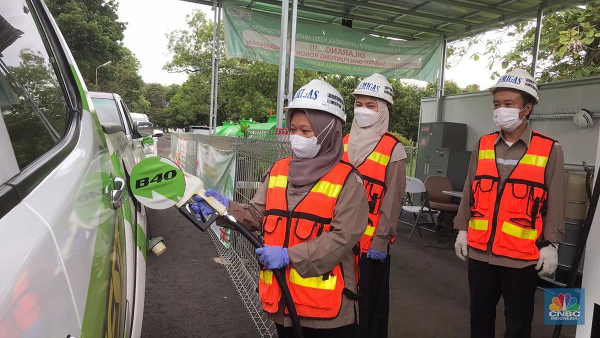 Biodiesel Berkontribusi Pada Energi