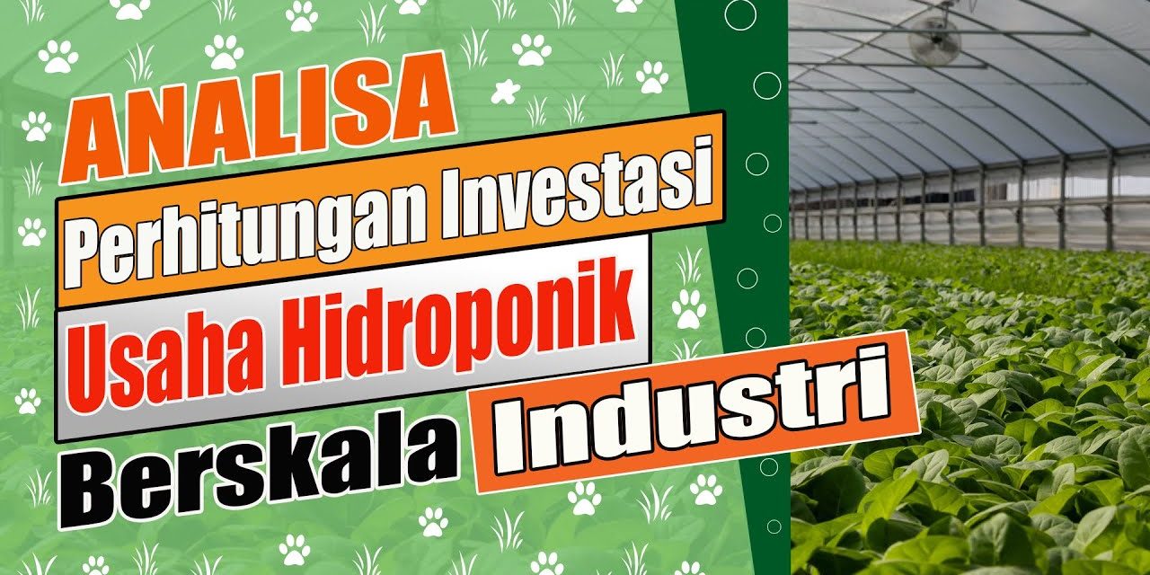 Analisa Peluang Bisnis Usaha Hidroponik Rumahan
