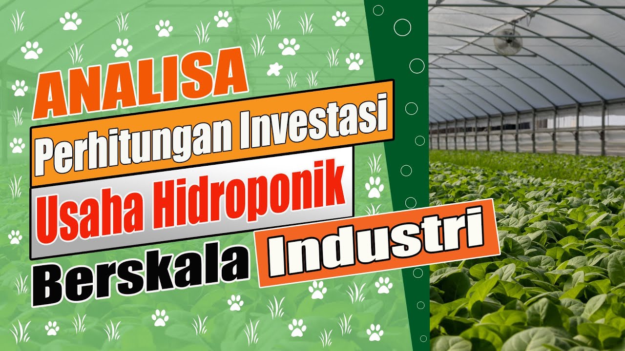 Analisa Peluang Bisnis