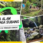 Wisata Alam Capolaga Camping Santai Di Pinggir Sungai Jernih